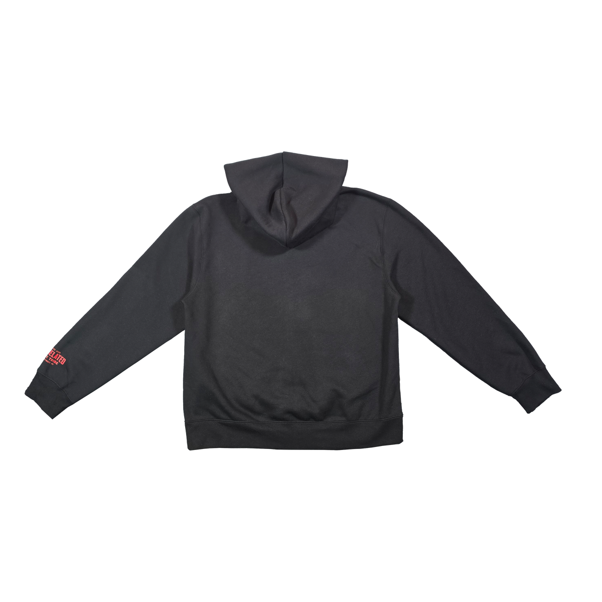 WORLD ZIP HOODIE